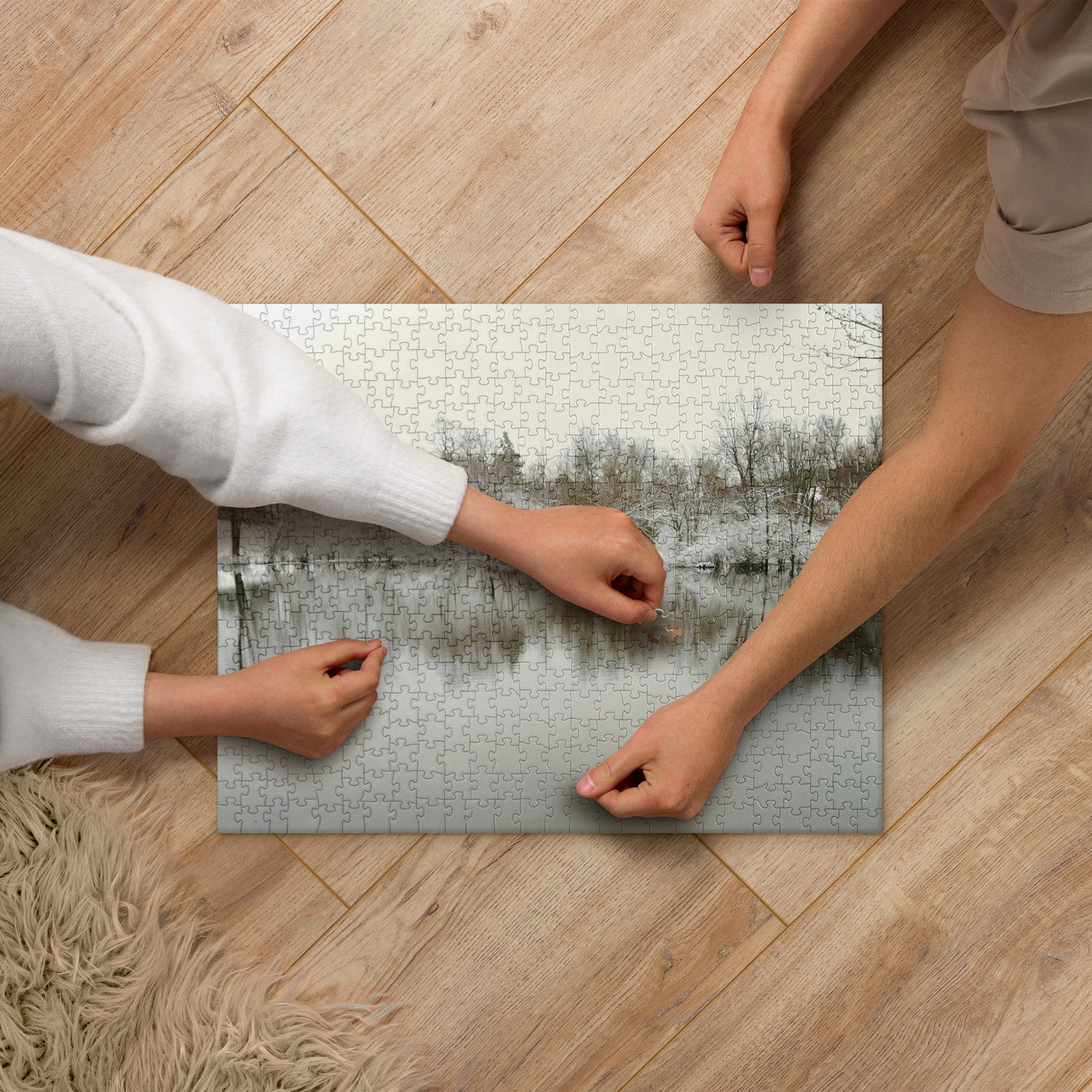 Jigsaw Puzzle